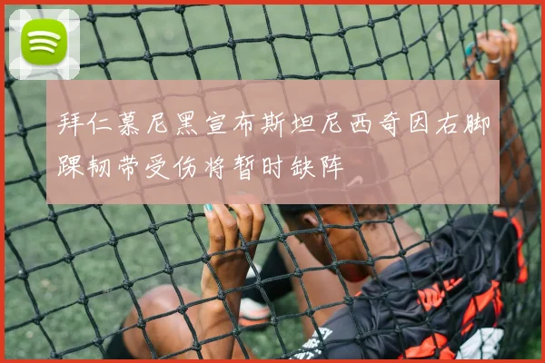 拜仁慕尼黑宣布斯坦尼西奇因右脚踝韧带受伤将暂时缺阵