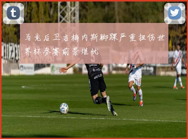 马竞后卫吉梅内斯脚踝严重扭伤世界杯参赛前景堪忧
